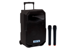 רמקולים מוגברים ובידוריות