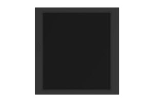 מודול פאנל ריק